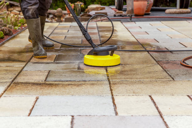 Best Animal Enclosure Cleaning  in Allen, TX