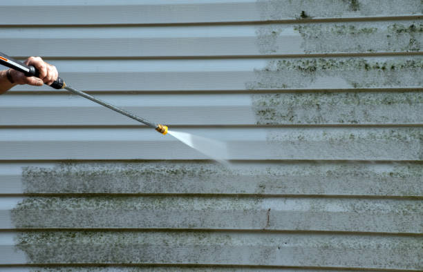 Best Driveway Pressure Washing  in Allen, TX