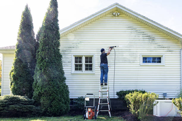 Best Solar Panel Cleaning  in Allen, TX